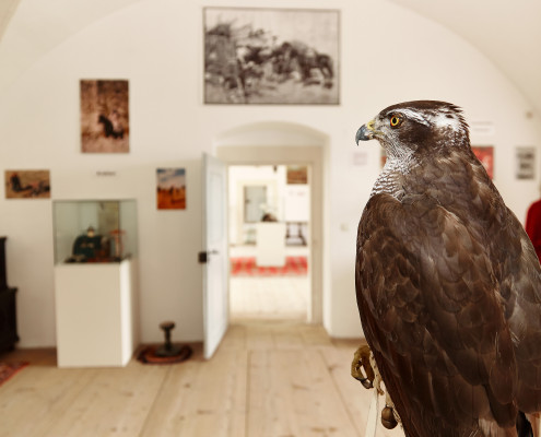 Falknerei Museum Schloss Rosenburg